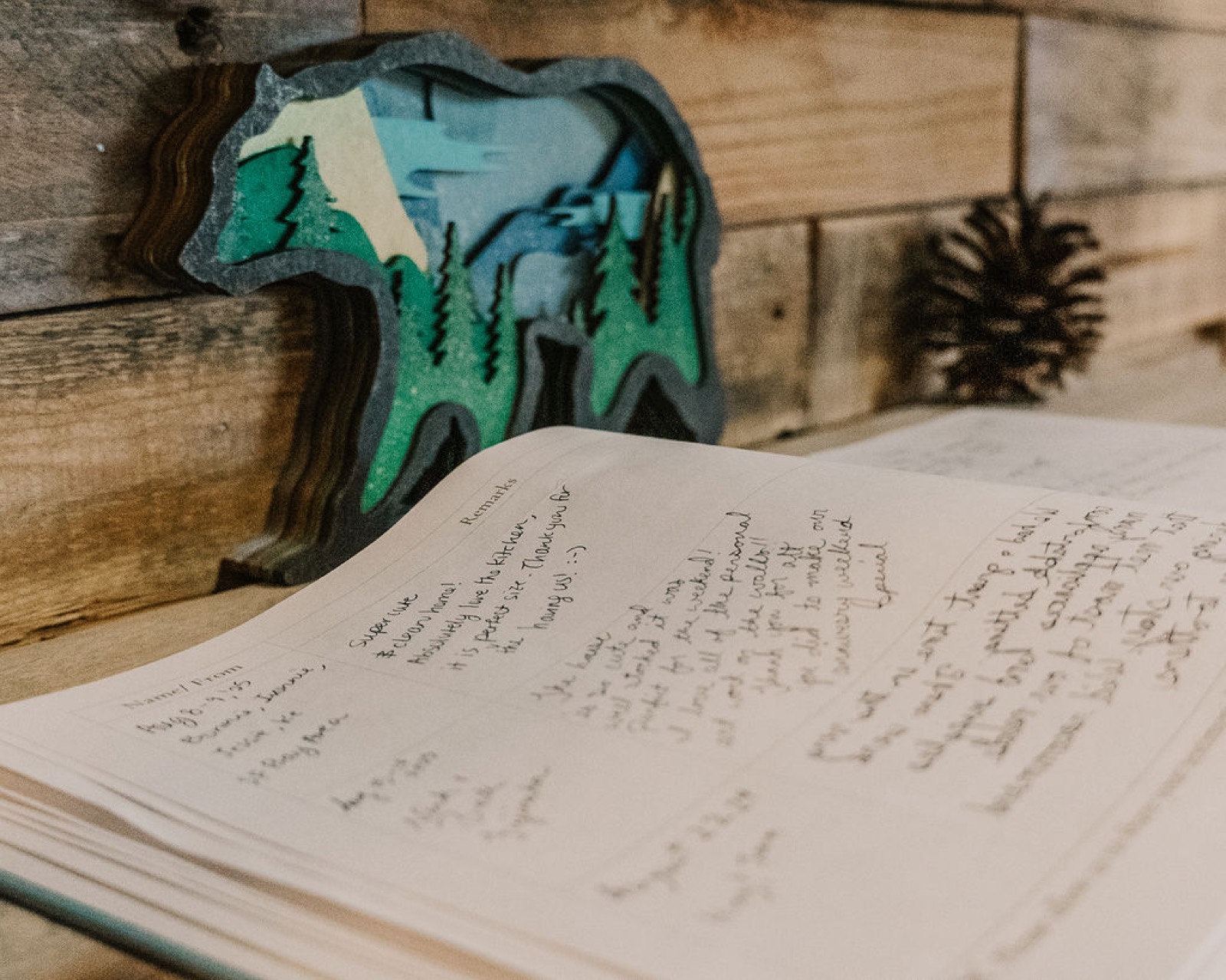 The Brodie Cabin — photo 12